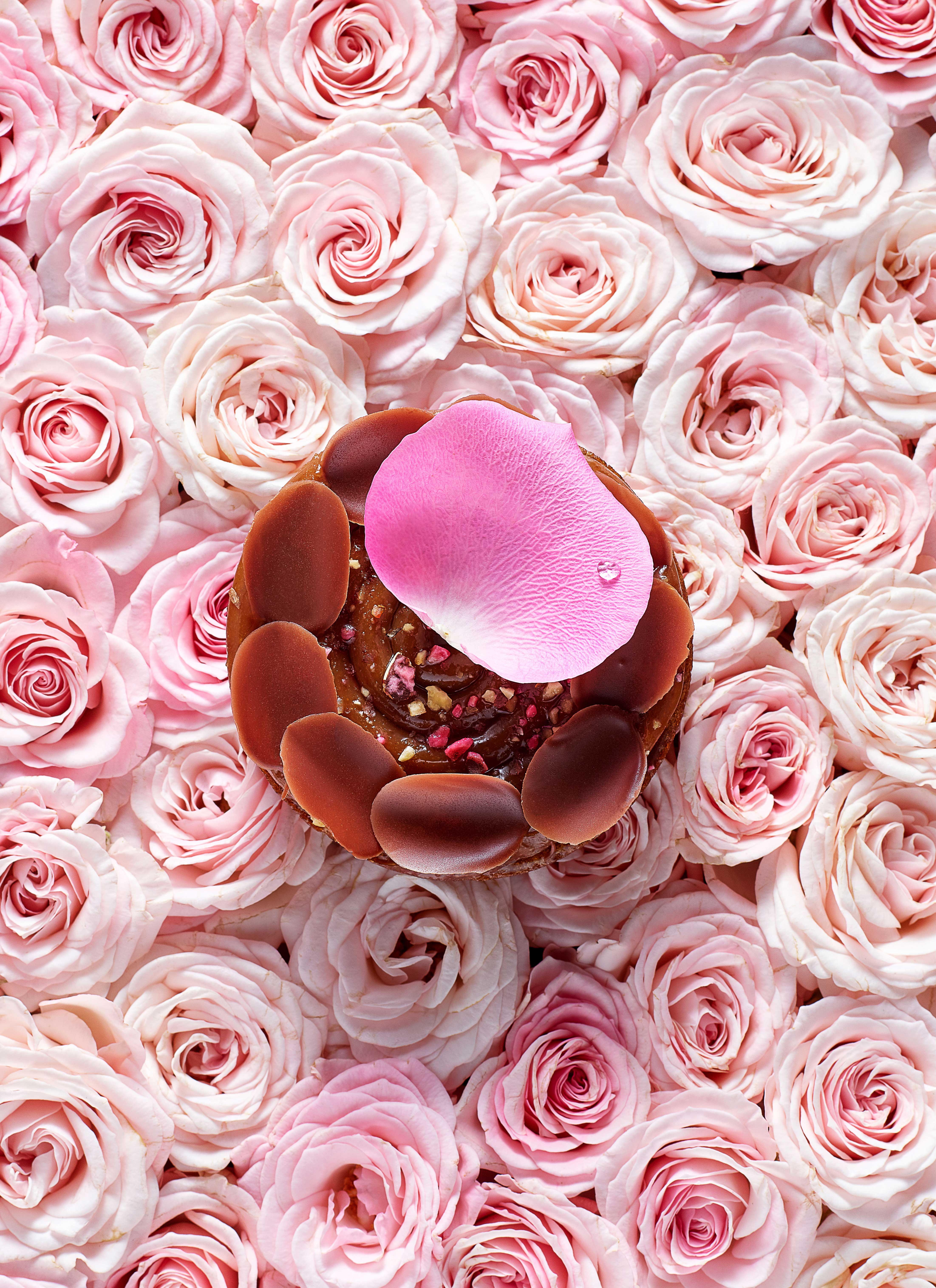 Savencia-La-Maison-du-Chocolat